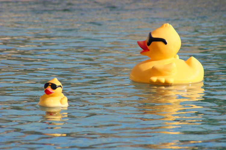Rubber Ducks
